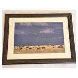 37"x20.5" Burchell Zebra On Grasslands Print