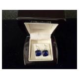 Pr of Blue Earrings