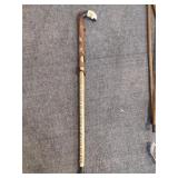 Snakeskin Cane