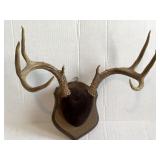 6"x5" Deer Antlers
