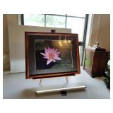 Framed and Matted Photo Of A Pink Water Lily