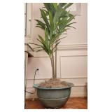 Faux Plant