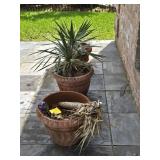 (3) Plastic Pots w/Plants