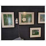 (4)Matted & Framed Nature Photos