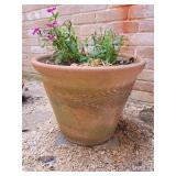 15" Clay Pot w/Plant