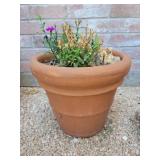 Potted Plant 12in tall
