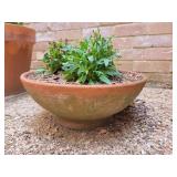 Potted Plant 16in