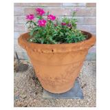 Potted Plant 16in tall