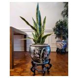 Faux Snake Plant w/Decorative Pot & Wooden Base