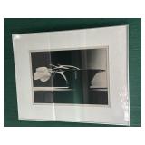 23" x 29.5" Black & White Framed Still Life