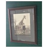 19"x22" Vintage Zoo Print