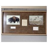 33ï¿½x17ï¿½ The American Buffalo