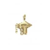 VTG Gold Class of "91" Graduation Cap 1"