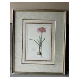23ï¿½x19ï¿½ Vintage Framed Botanic Flower, Wall Frame
