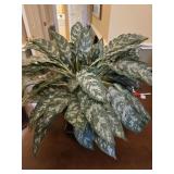 Faux Plant in Glass Pot