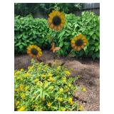 Sunflower yard decor