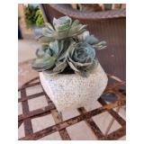 Faux Plant