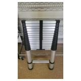 Telescopic Ladder 20 ft