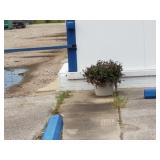 Flower Plot and Plant