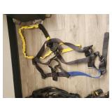 Fall Protection Harness