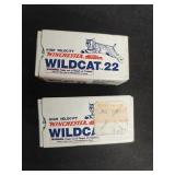 (100rds) Winchester Wildcat 22LR Special Dry