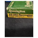 (20r Remington 22