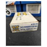 (16rds) 243 Winchester (6mm) 100 gr Power PT