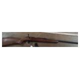 Remington22 CAL Short / LongModel 581