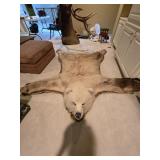 Full Bear Rug 90" Long 67" Wide Full Bear Rug 90" Long 67" Wide
