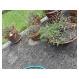 (3) Garden Planters (3) Garden Planters