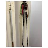 Dog Leash & Collars Dog Leash & Collars