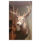 10 Point Game Mount 10 Point Game Mount