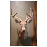 8 Point Game Mount 8 Point Game Mount