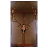 Giant 12 Point Game Mount Giant 12 Point Game Mount