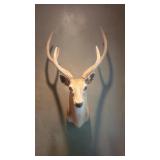 6 Point Game Mount 6 Point Game Mount