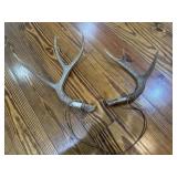 Antlers & Candle Holder Antlers & Candle Holder