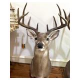 40" 10 Point Whitetail Deer, Shoulder Mount 40" 10 Point Whitetail Deer, Shoulder Mount