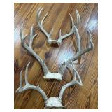 (3) Antlers Deer Horns (3) Antlers Deer Horns