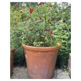 Ceramic Planter W/ Garden Roses, 20� Ceramic Planter W/ Garden Roses, 20�