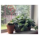 Tin Planter w/Faux Ivy + Ceramic Pot Tin Planter w/Faux Ivy + Ceramic Pot