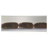 (3) Giant Pinecones (3) Giant Pinecones