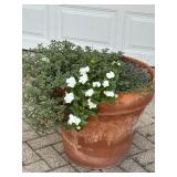 Large 23"x 19" Potted Plant Large 23"x 19" Potted Plant