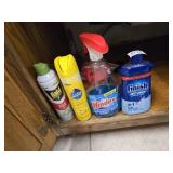 Everything Under Sink Including Trash Can