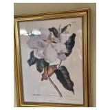 Framed Botanical Magnolia Print