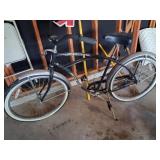 Schwinn Men
