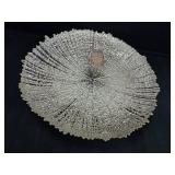 16" Decorative Plate NWT