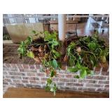 (2) Metal Hanging Baskets w/Ivy