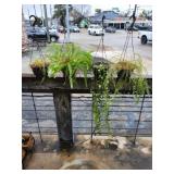 (4) Plastic Baskets w/Plants