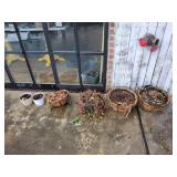Hanging Baskets & (2) Small Pots
