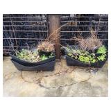 Plants and Pots in Picture